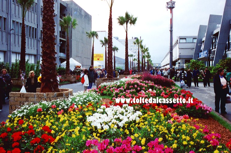 EUROFLORA 2001 - Prato di fiori lungo un viale della Fiera di Genova