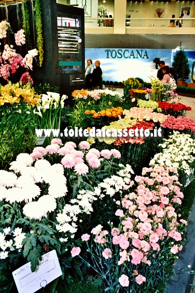 EURLOFLORA 2006 - Garofani e crisantemi della Regione Toscana