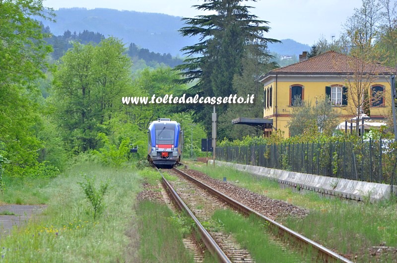 FERROVIA AULLA-LUCCA - Un treno ATR 220 Tr Swing attraversa la campagna di Rometta