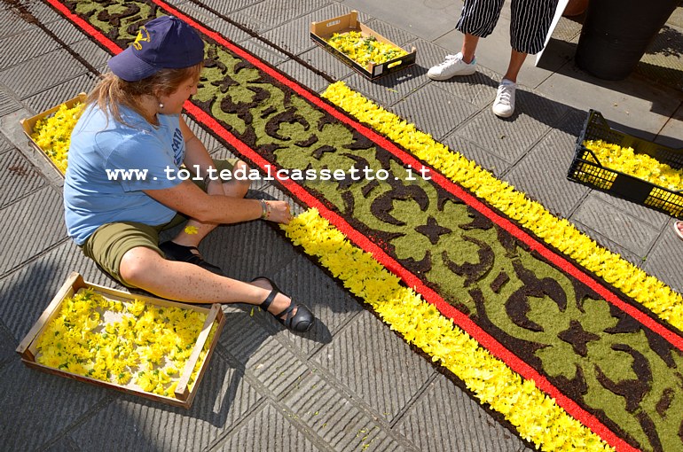BRUGNATO (Infiorata del Corpus Domini 2017) - Punto di Via Riva d'Armi dove il tappeto floreale  contornato da margherite gialle