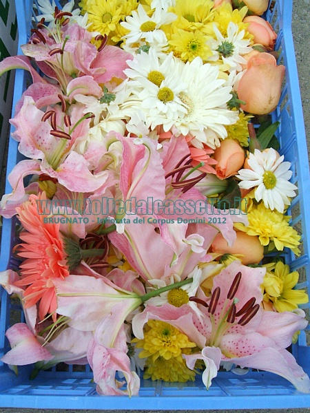 BRUGNATO (Infiorata del Corpus Domini 2012) - Contenitore con i tipi di fiori utilizzati: si riconoscono margherite, gerbere, rose e lilium