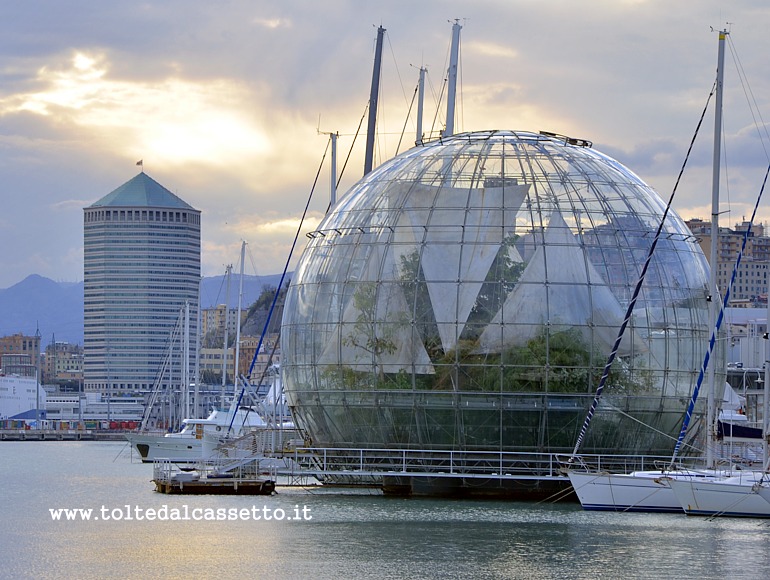 GENOVA - Il Matitone visto assieme alla Bolla di Renzo Piano