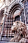 GENOVA - Cattedrale di San Lorenzo - Il portale ed uno dei due leoni, opera del Rubatto, posti ai lati dell'ampia gradinata (costruita a partire dal 1830) tramite la quale si accede al Duomo