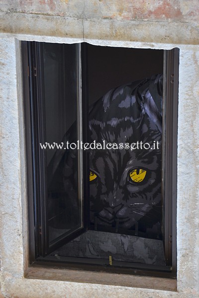 TORANO (Notte e Giorno 2017) - Nella tenda di una finestra c' il disegno di un gatto dagli occhi gialli che ti osserva (l'immagine  rovesciata rispettio al reale)