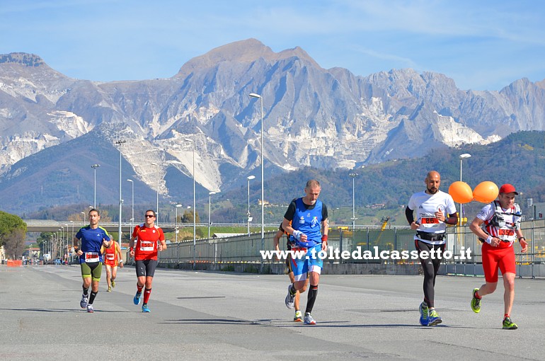 CARRARA (White Marble Marathon 2017) - Un gruppo di atleti in gara transita in Viale Domenico Zaccagna dove il paesaggio di sfondo  dominato dalle maestose Alpi Apuane