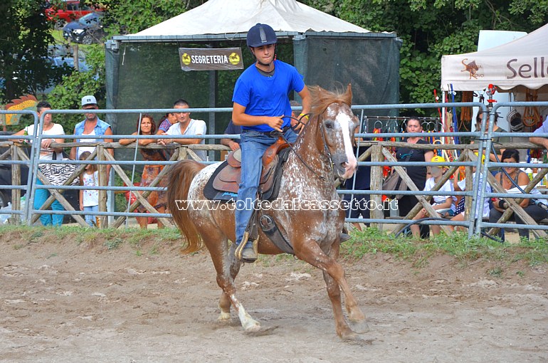 COMANO CAVALLI - Cavaliere al galoppo durante lo spettacolo equestre