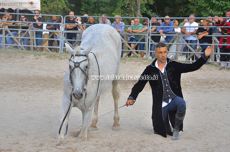 COMANO CAVALLI - Cavallo e addestratore si inchinano verso gli spettatori