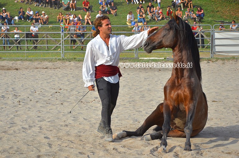 COMANO CAVALLI - Intesa perfetta tra l'addestratore e il suo cavallo