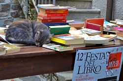 MONTEREGGIO (Festa del Libro 2015) - Un gatto dorme pacificamente tra i libri di una bancarella self-service /  Giovanni Mencarini