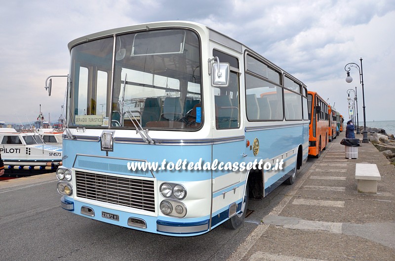 Autobus FIAT 314/3 Dalla Via ex SAD Bolzano (Collezione AssoFitram)