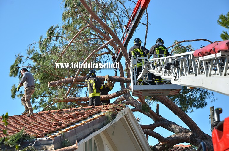 FORTE DEI MARMI - Una squadra dei Vigili del Fuoco di Grosseto al lavoro per liberare il tetto di un'abitazione dai rami di un pino abbattuto dal vento