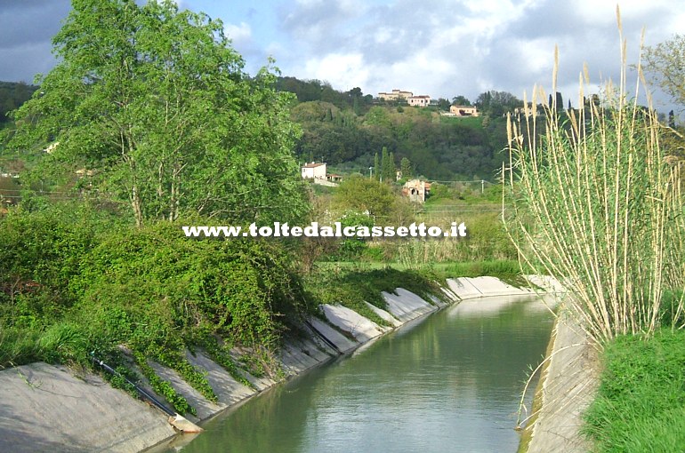 CANALE LUNENSE - Paesaggio da Via Falcinello a Sarzana