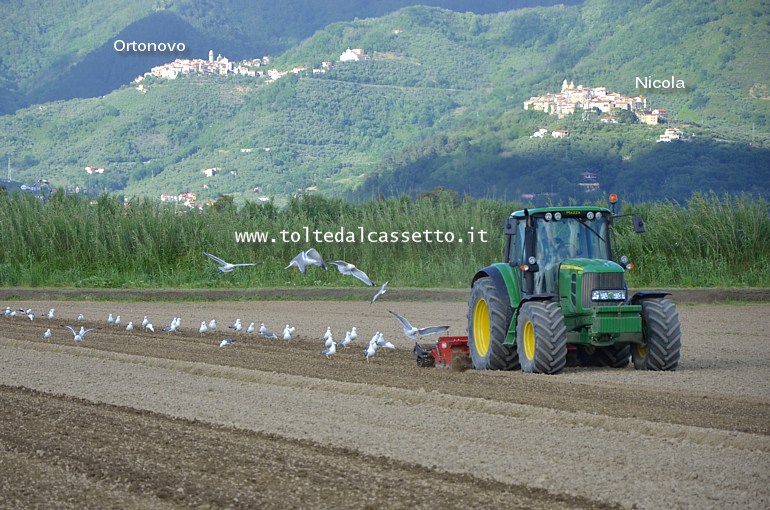VAL DI MAGRA - Panorama agreste per Ortonovo e Nicola che compaiono sullo sfondo dietro un trattore che sta arando i campi a Fiumaretta